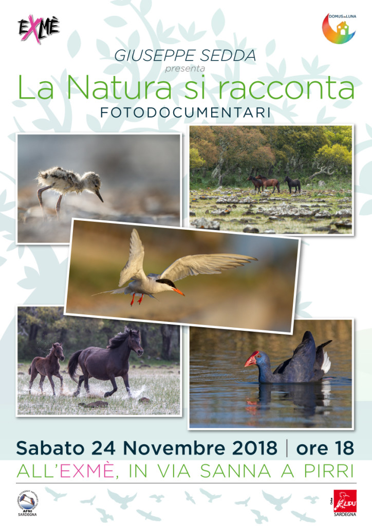 locandina_LA_NATURA_SI-RACCONTA_corretto2