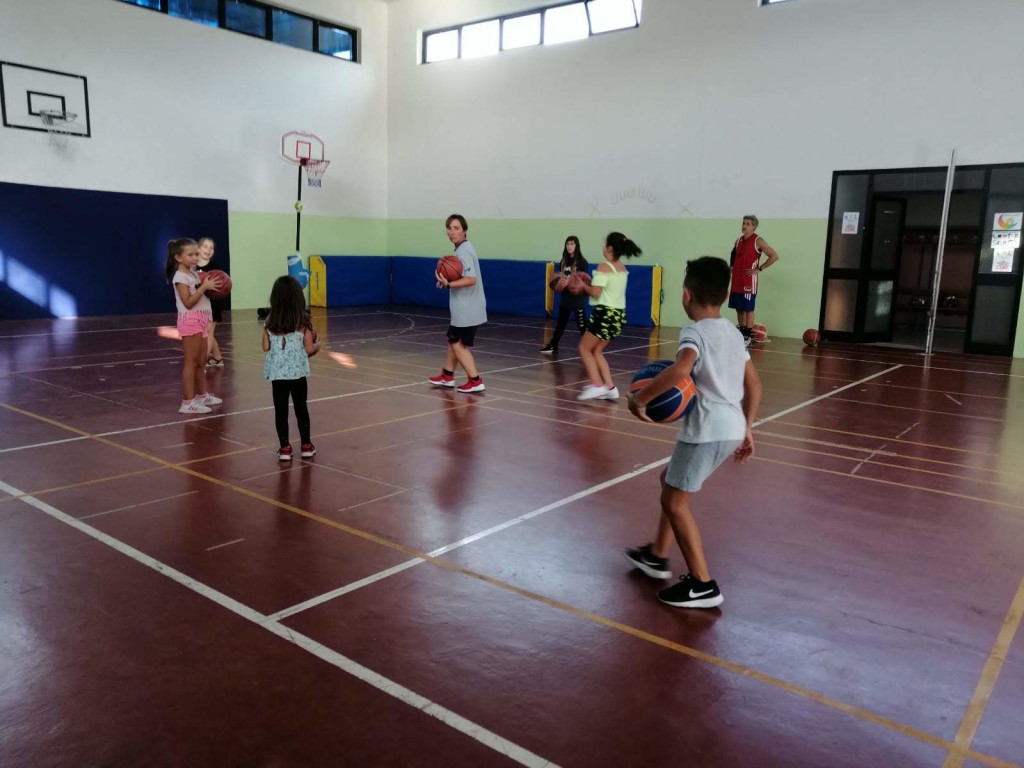 Basket (9)