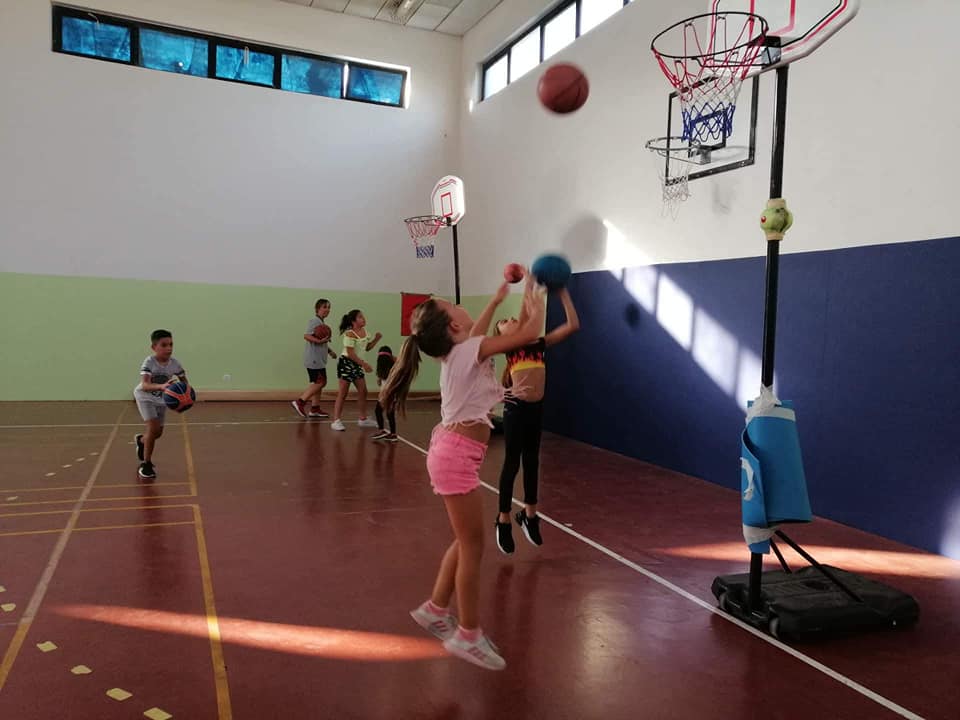 mini-basket